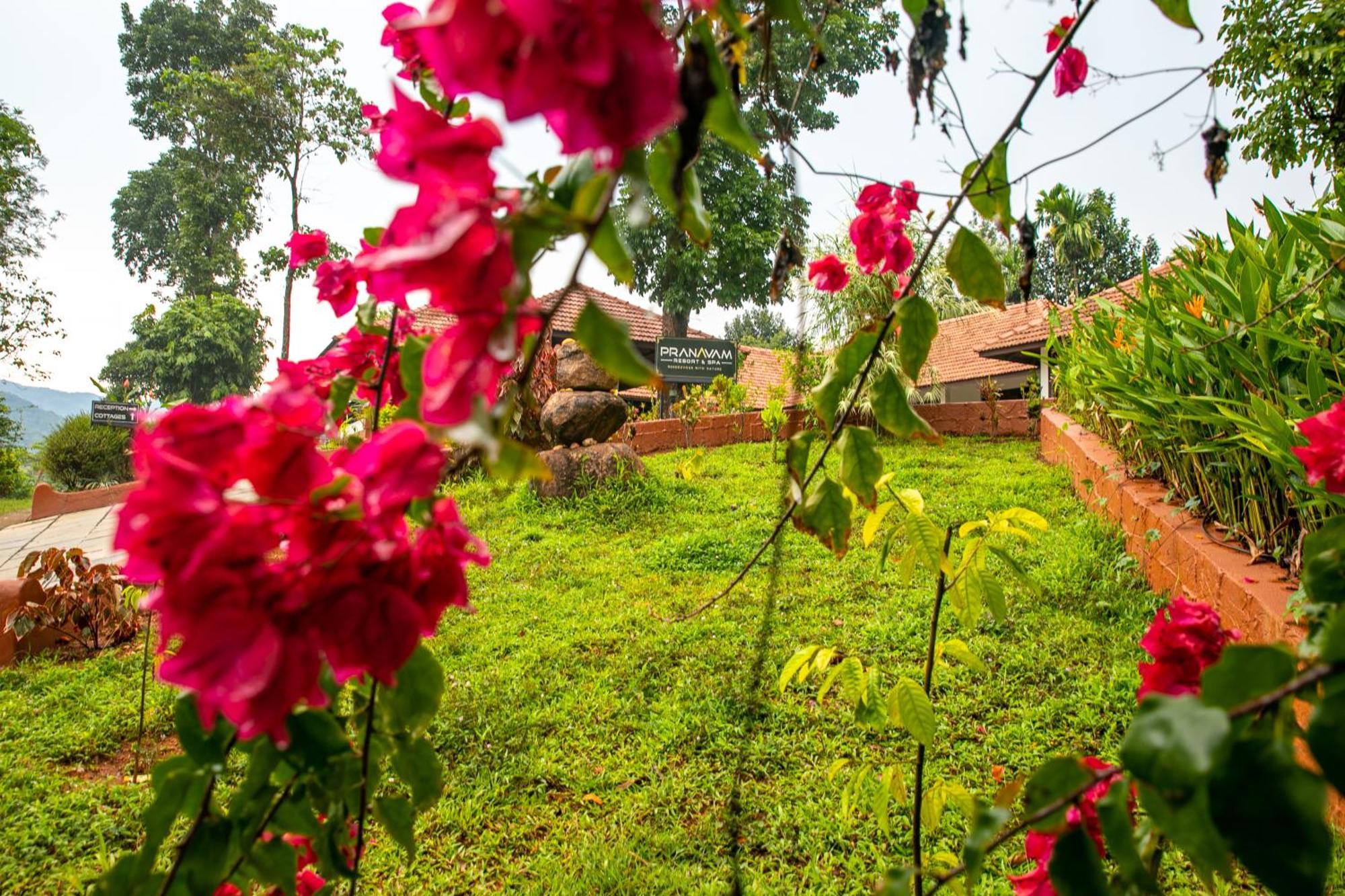 Pranavam Resort & Spa Tariyod Exterior foto